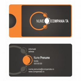 Model carti de vizita EK 20079-portocaliu