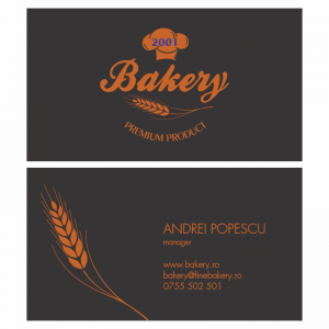 Model carti de vizita EK 20003