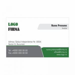 Model carti de vizita EK 20005