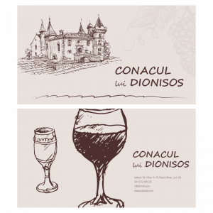 Model carti de vizita EK 20008