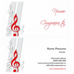 Model carti de vizita EK 20044