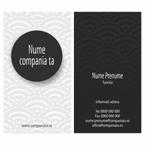 Model carti de vizita EK 20049