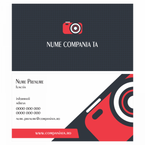 Model carti de vizita EK 20071