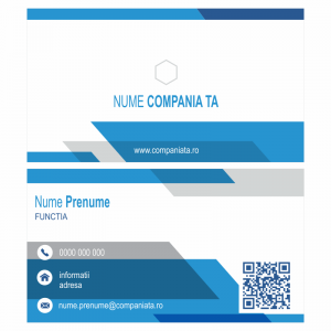 Model carti de vizita EK 20075