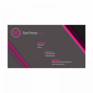 Model carti de vizita EK 20083