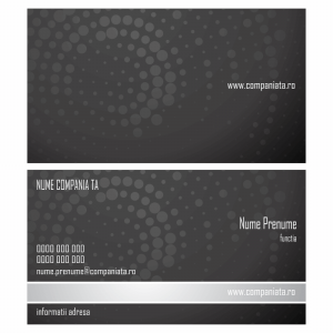 Model carti de vizita EK 20091