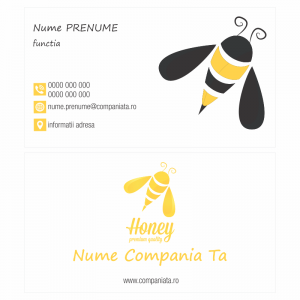 Model carti de vizita EK 20108