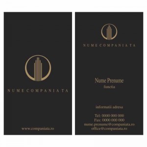 Model carti de vizita EK 20124