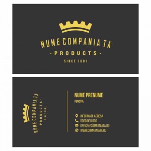 Model carti de vizita EK 20134