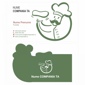 Model carti de vizita EK 20141