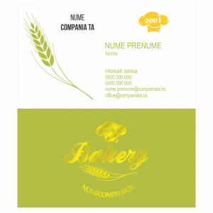 Model carti de vizita EK 20143