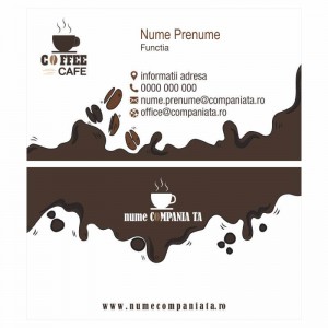 Model carti de vizita EK 20146