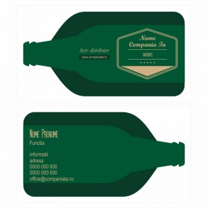 Model carti de vizita EK 20161