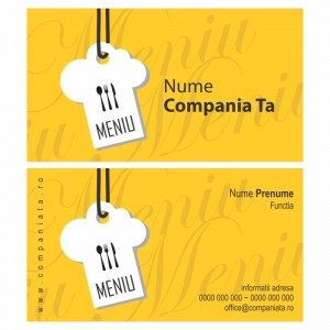 Model carti de vizita EK 20163