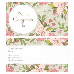 Model carti de vizita EK 20165