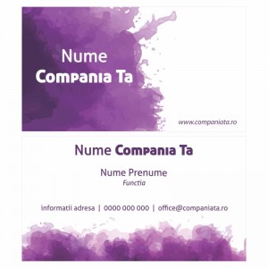 Model carti de vizita EK 20169