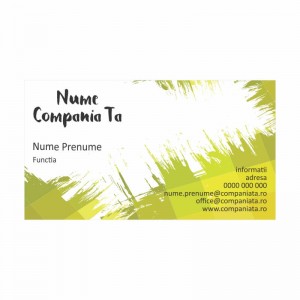 Model carti de vizita EK 20175