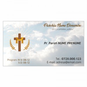 Model carti de vizita EK 20181