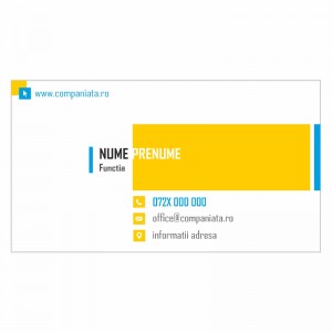 Model carti de vizita EK 20198