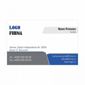 Model carti de vizita EK 20005-albastru