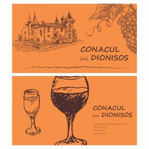 Model carti de vizita EK 20008-portocaliu