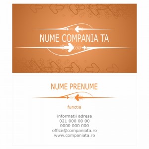 Model carti de vizita EK 20023-portocaliu