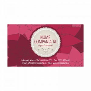 Model carti de vizita EK 20026-bordo