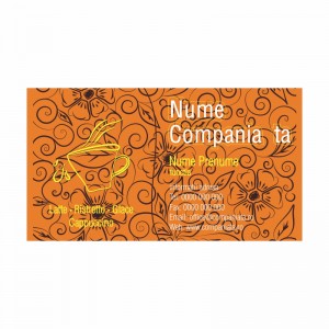 Model carti de vizita EK 20027-portocaliu