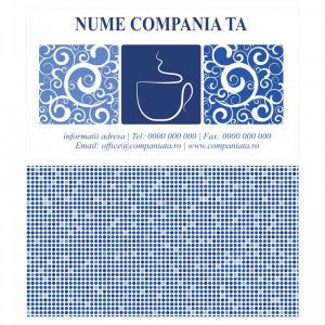 Model carti de vizita EK 20032-albastru