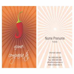 Model carti de vizita EK 20034-portocaliu