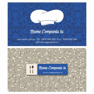 Model carti de vizita EK 20035-albastru