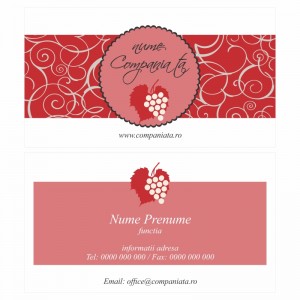 Model carti de vizita EK 20038-rosu