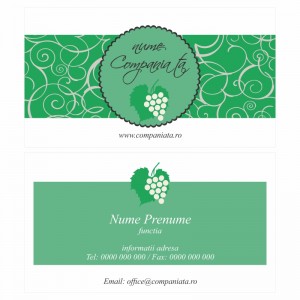 Model carti de vizita EK 20038-verde