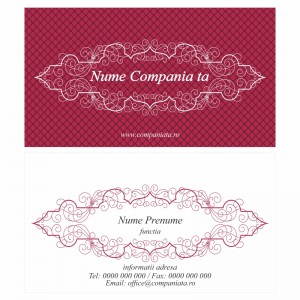 Model carti de vizita EK 20039-bordo