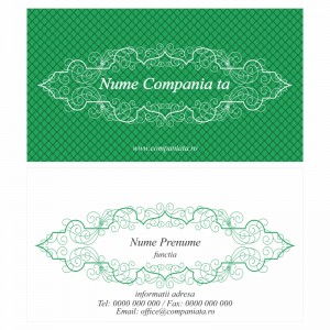 Model carti de vizita EK 20039-verde