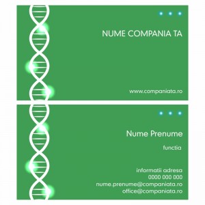 Model carti de vizita EK 20042-verde