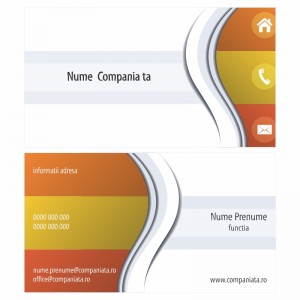 Model carti de vizita EK 20048-portocaliu