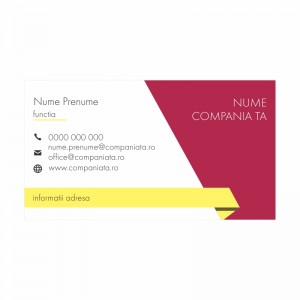 Model carti de vizita EK 20055-bordo