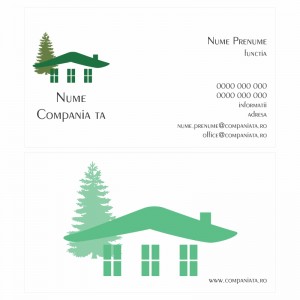 Model carti de vizita EK 20056-verde