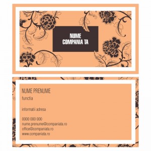 Model carti de vizita EK 20060-portocaliu