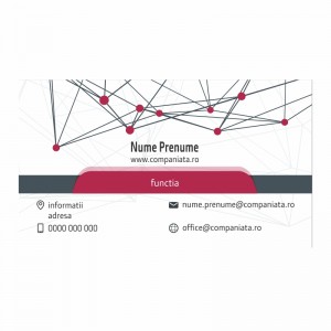 Model carti de vizita EK 20062-bordo