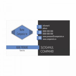 Model carti de vizita EK 20065-albastru