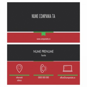 Model carti de vizita EK 20069-rosu