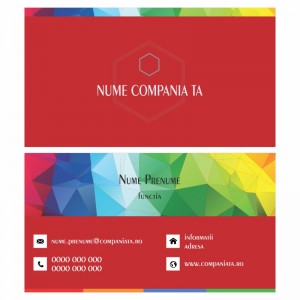 Model carti de vizita EK 20072-rosu
