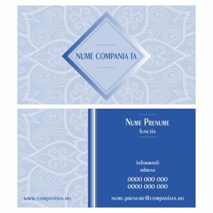 Model carti de vizita EK 20074-albastru