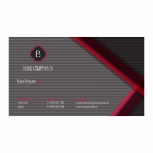 Model carti de vizita EK 20082-bordo