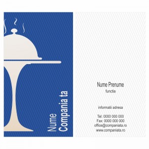 Model carti de vizita EK 20089-albastru