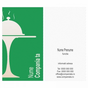 Model carti de vizita EK 20089-verde