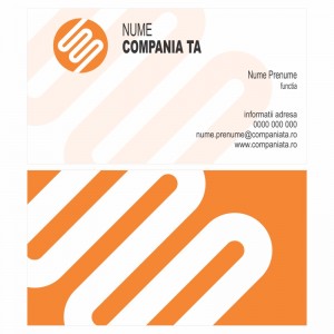 Model carti de vizita EK 20093-portocaliu