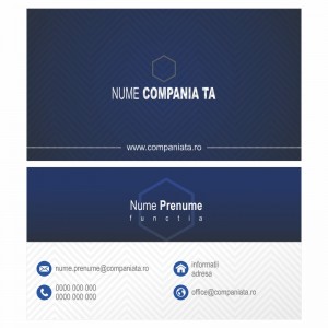 Model carti de vizita EK 20096-albastru